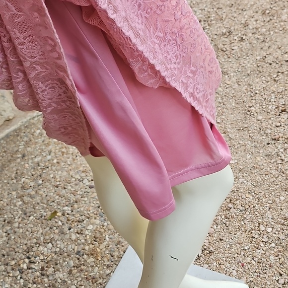 Sundance Juliet Rose Pink Lace Boho Romantic Sleeveless Embroidered Dress Size 6 - Picture 7 of 11